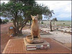 dog-cemetery-corrigin